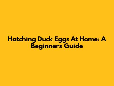 Hatching Duck Eggs At Home: A Beginner's Guide
