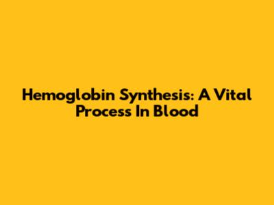 Hemoglobin Synthesis: A Vital Process In Blood