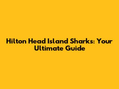 Hilton Head Island Sharks: Your Ultimate Guide