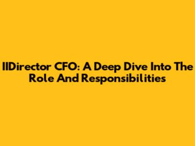 IIDirector CFO: A Deep Dive Into The Role And Responsibilities