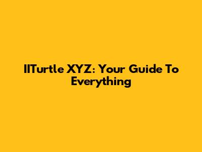 IITurtle XYZ: Your Guide To Everything