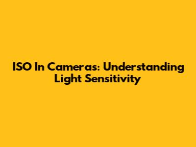 ISO In Cameras: Understanding Light Sensitivity