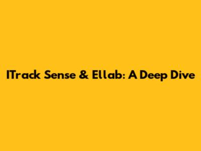 ITrack Sense & Ellab: A Deep Dive