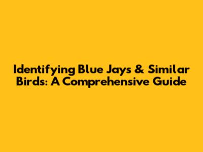 Identifying Blue Jays & Similar Birds: A Comprehensive Guide