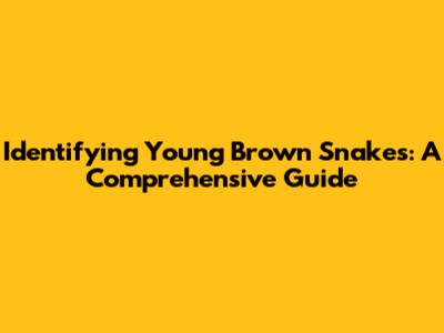 Identifying Young Brown Snakes: A Comprehensive Guide