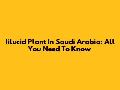 Iilucid Plant In Saudi Arabia: All You Need To Know