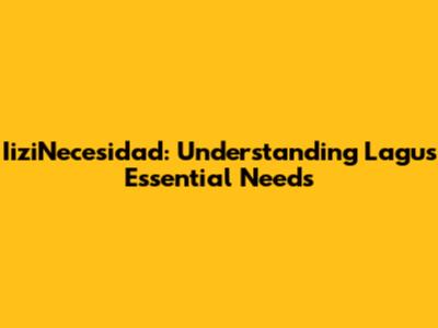IiziNecesidad: Understanding Lagu's Essential Needs