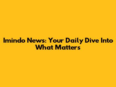 Imindo News: Your Daily Dive Into What Matters