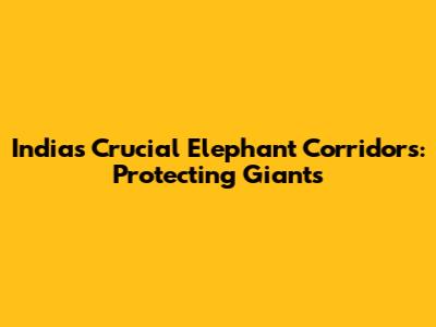 India's Crucial Elephant Corridors: Protecting Giants