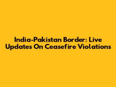 India-Pakistan Border: Live Updates On Ceasefire Violations