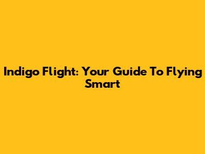 Indigo Flight: Your Guide To Flying Smart