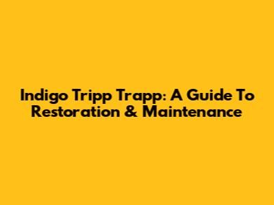 Indigo Tripp Trapp: A Guide To Restoration & Maintenance