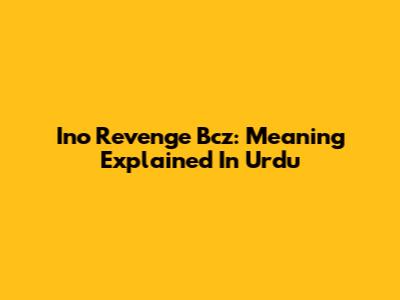 Ino Revenge Bcz: Meaning Explained In Urdu