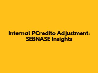 Internal PCredito Adjustment: SEBNASE Insights