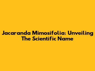 Jacaranda Mimosifolia: Unveiling The Scientific Name