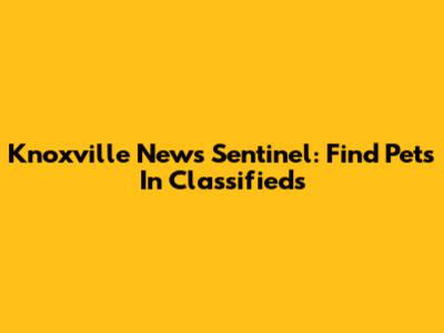 Knoxville News Sentinel: Find Pets In Classifieds
