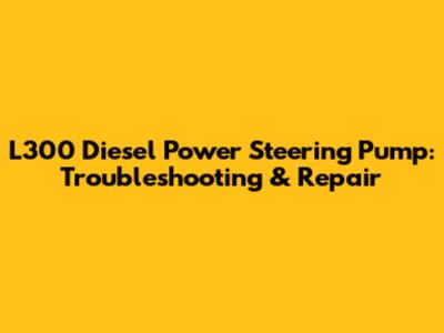 L300 Diesel Power Steering Pump: Troubleshooting & Repair