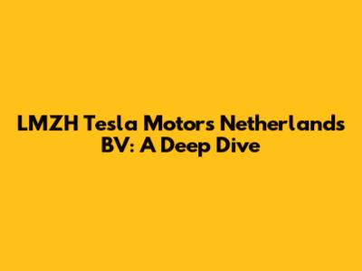 LMZH Tesla Motors Netherlands BV: A Deep Dive