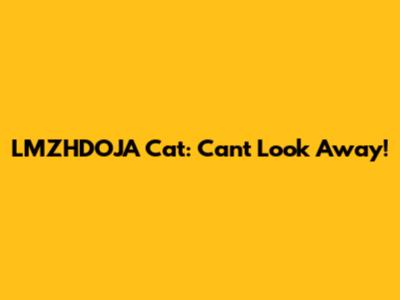 LMZHDOJA Cat: Can't Look Away!