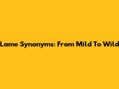Lame Synonyms: From Mild To Wild