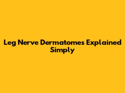 Leg Nerve Dermatomes Explained Simply