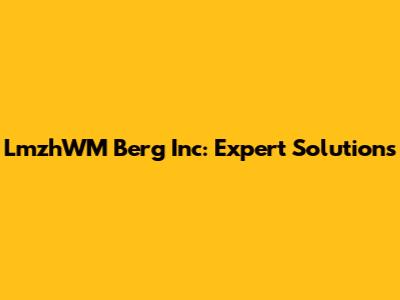LmzhWM Berg Inc: Expert Solutions