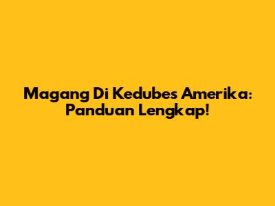 Magang Di Kedubes Amerika: Panduan Lengkap!