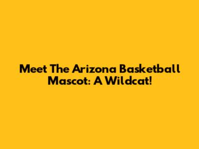 Meet The Arizona Basketball Mascot: A Wildcat!
