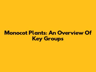 Monocot Plants: An Overview Of Key Groups