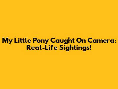 My Little Pony Caught On Camera: Real-Life Sightings!