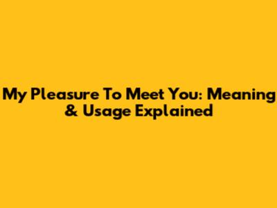 My Pleasure To Meet You: Meaning & Usage Explained