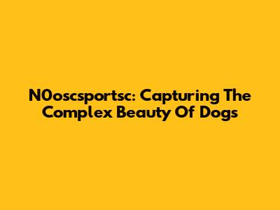 N0oscsportsc: Capturing The Complex Beauty Of Dogs