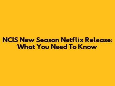 NCIS New Season Netflix Release: What You Need To Know