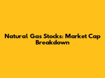 Natural Gas Stocks: Market Cap Breakdown