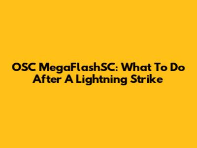 OSC MegaFlashSC: What To Do After A Lightning Strike