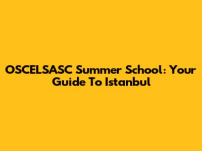 OSCELSASC Summer School: Your Guide To Istanbul