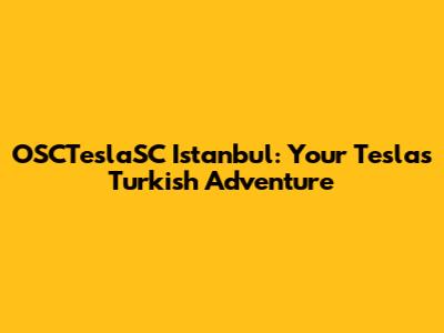 OSCTeslaSC Istanbul: Your Tesla's Turkish Adventure