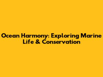 Ocean Harmony: Exploring Marine Life & Conservation