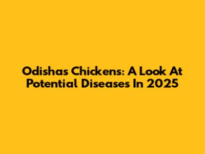 Odisha's Chickens: A Look At Potential Diseases In 2025