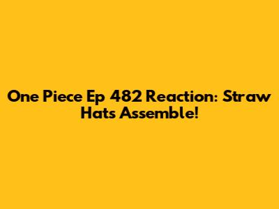 One Piece Ep 482 Reaction: Straw Hats Assemble!