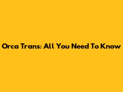 Orca Trans: All You Need To Know