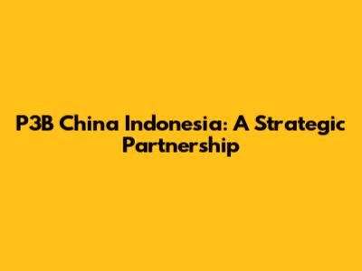 P3B China Indonesia: A Strategic Partnership