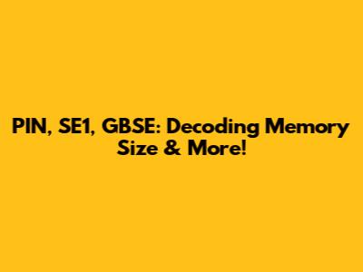 PIN, SE1, GBSE: Decoding Memory Size & More!