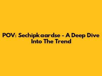 POV: Sechipkaardse - A Deep Dive Into The Trend