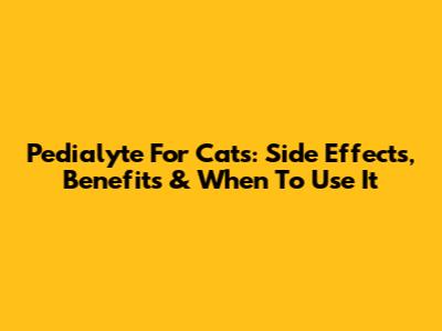 Pedialyte For Cats: Side Effects, Benefits & When To Use It