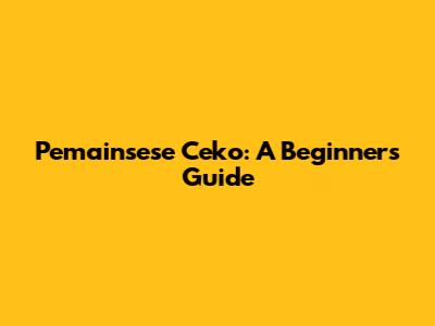 Pemainsese Ceko: A Beginner's Guide
