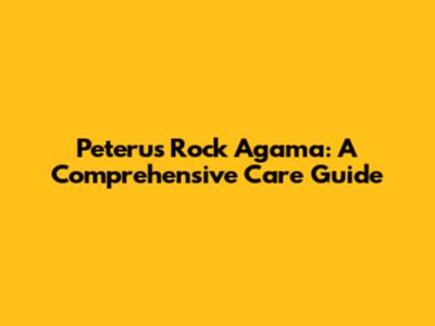 Peteru's Rock Agama: A Comprehensive Care Guide