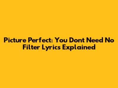 Picture Perfect: You Don't Need No Filter Lyrics Explained