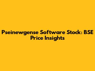 Pseinewgense Software Stock: BSE Price Insights