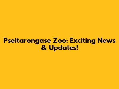 Pseitarongase Zoo: Exciting News & Updates!